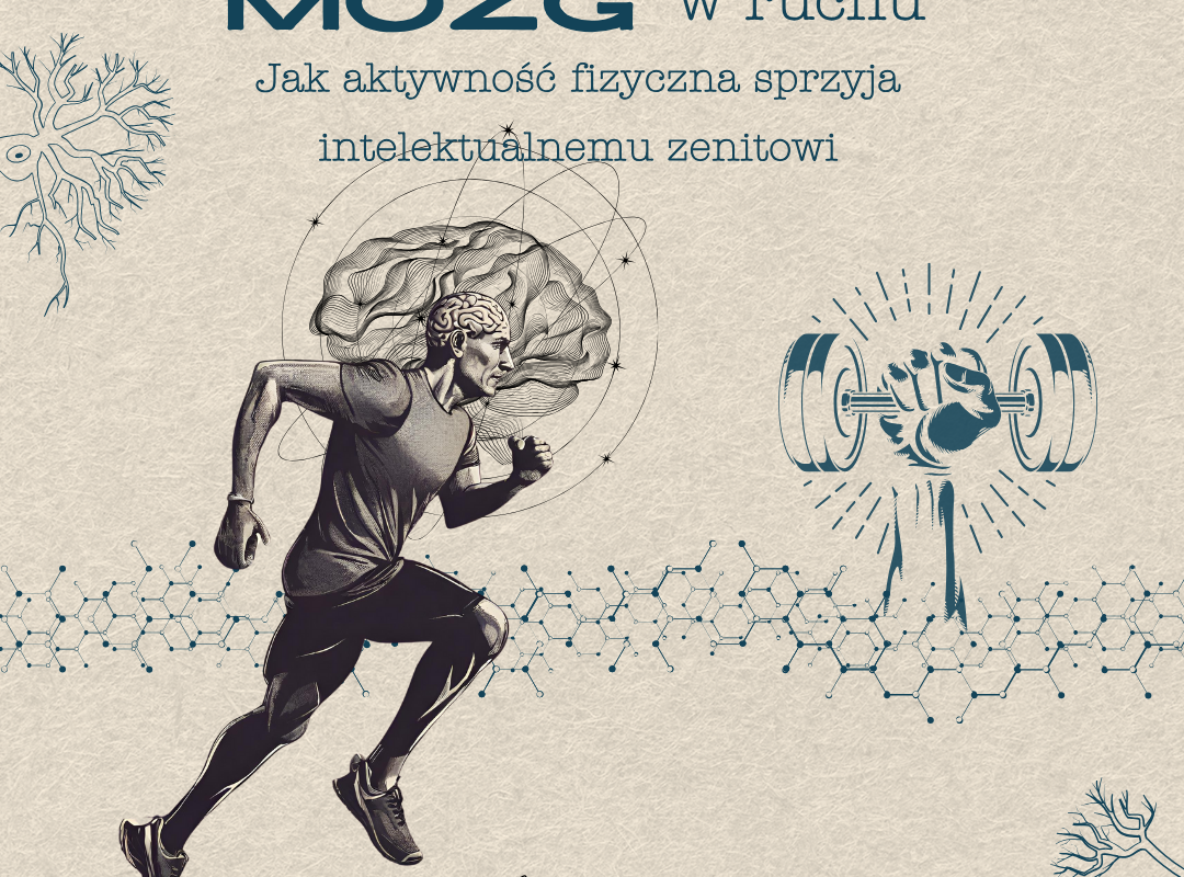 Mózg w ruchu: Jak aktywność fizyczna sprzyja intelektualnemu zenitowi